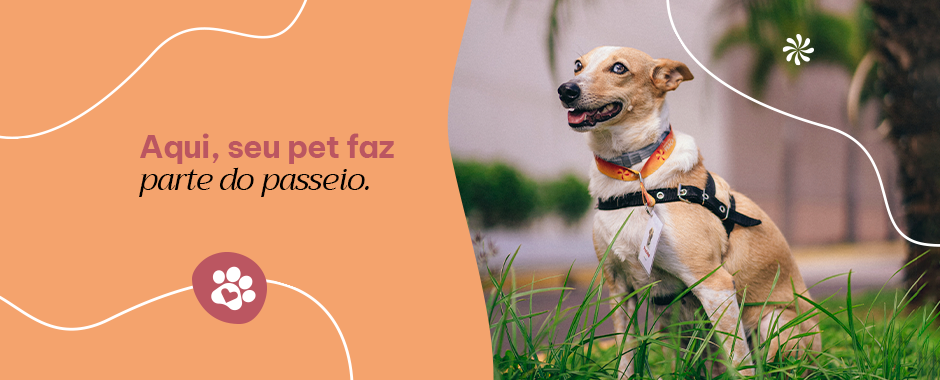 FPD Desk Praca e Pet Friendly.png